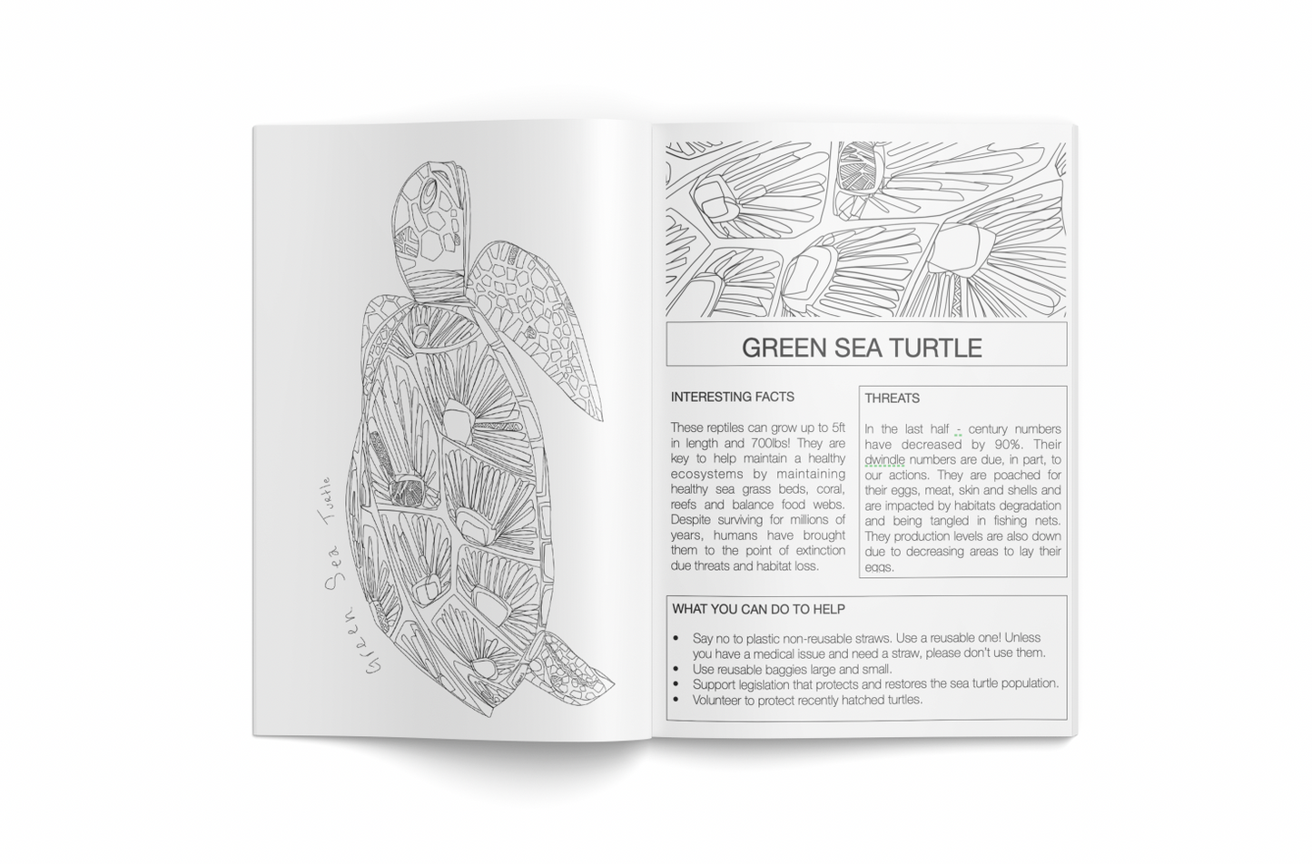 Coloring Book | Wildlife