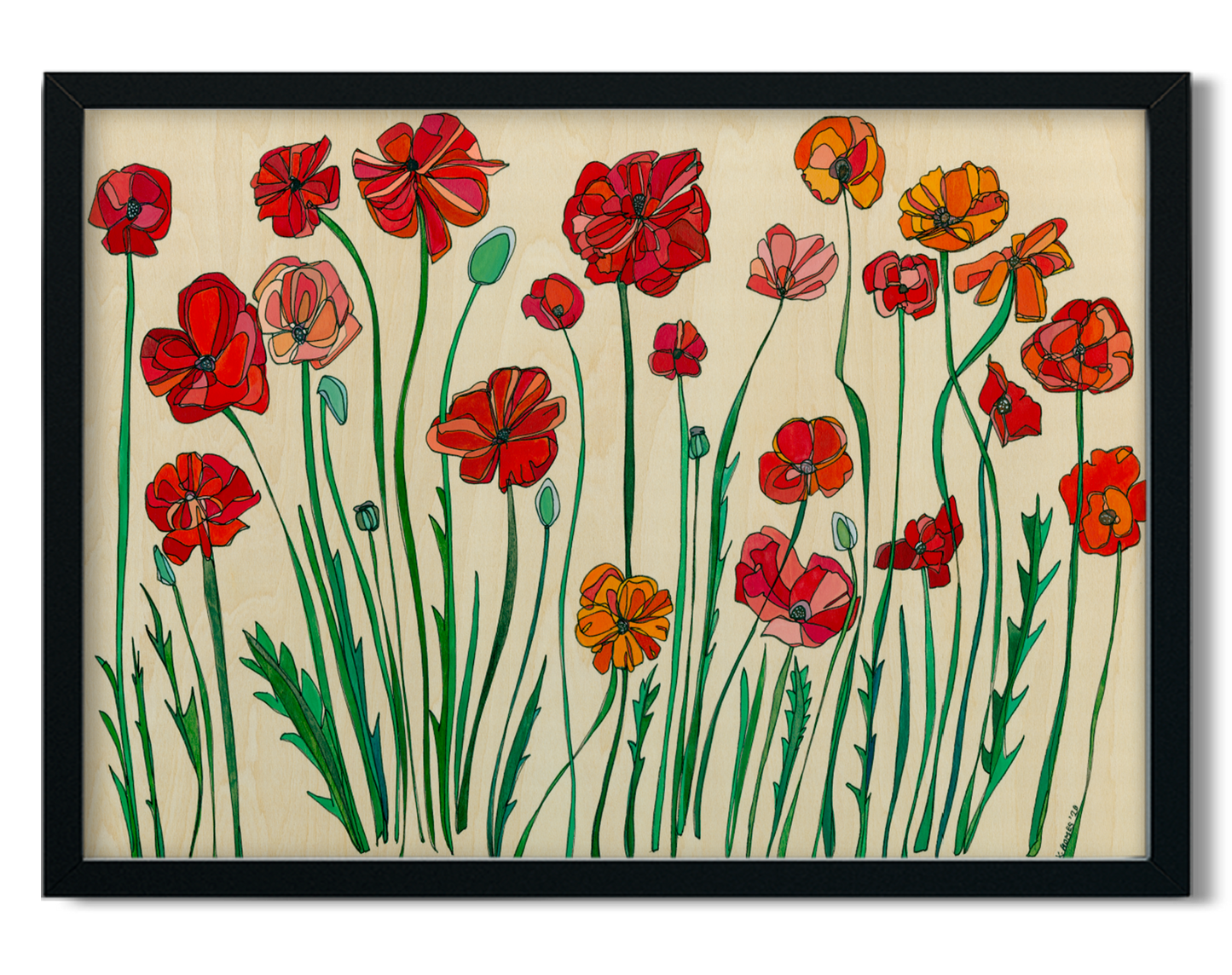 Poppies |  Prints