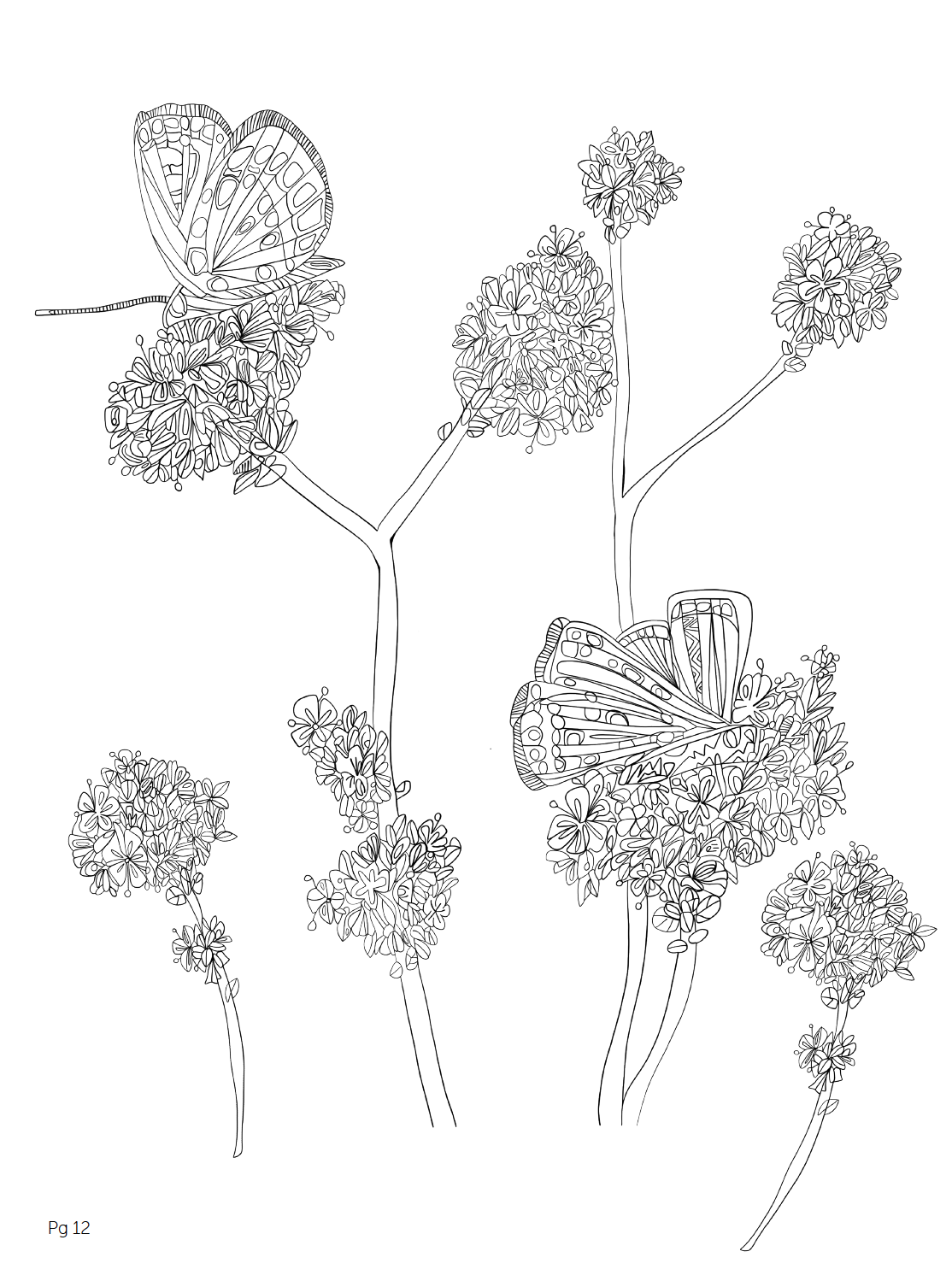 Coloring Book | Wildlife