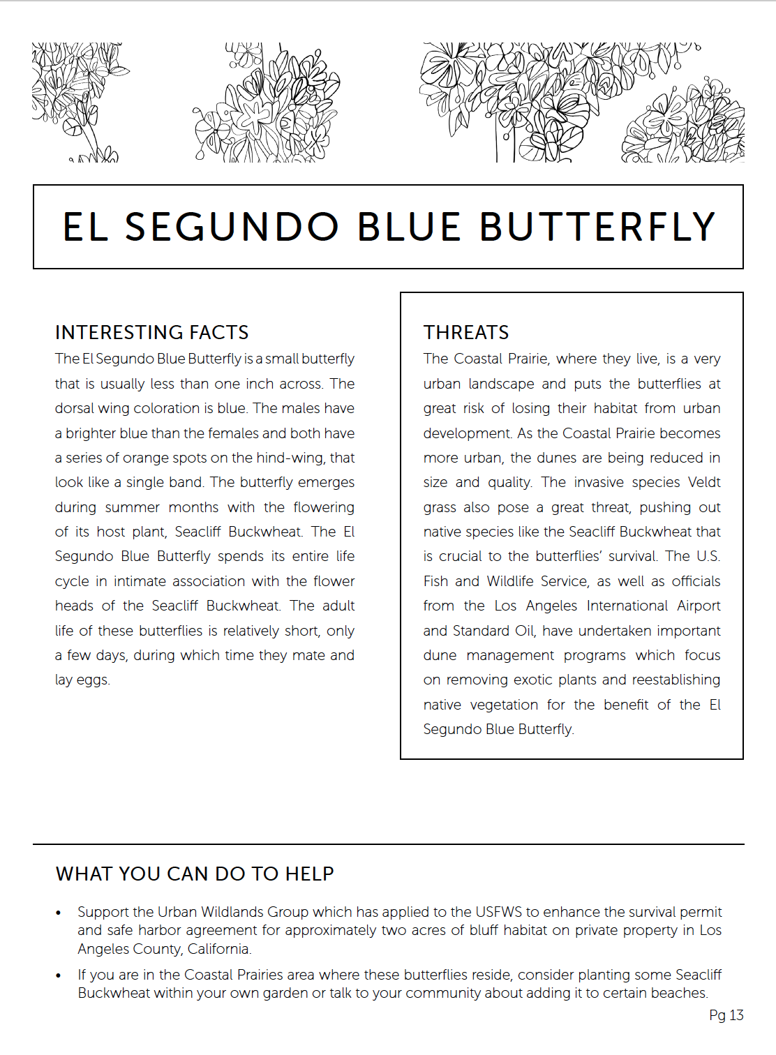 Coloring Book | Wildlife