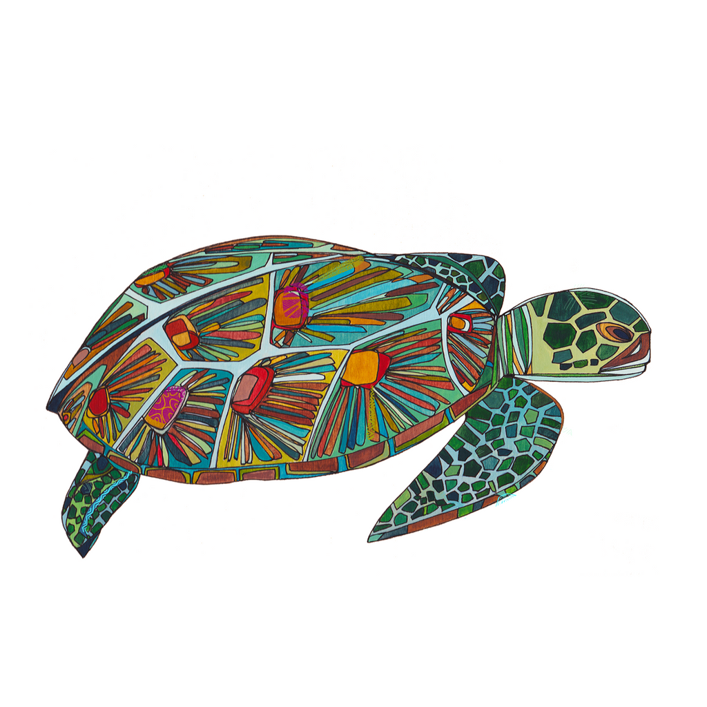 Green Sea Turtle | What You Can Do