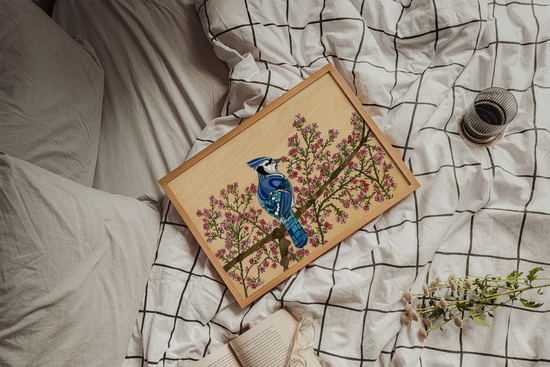 Blue Jay and Cherry Blossom | Prints