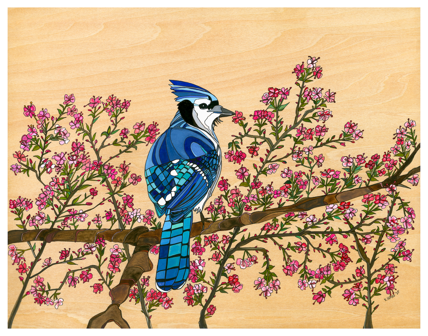 Blue Jay and Cherry Blossom Flowers original painting by Colorado artist  Katherine Homes, bird art, watercolor, painter, fine art