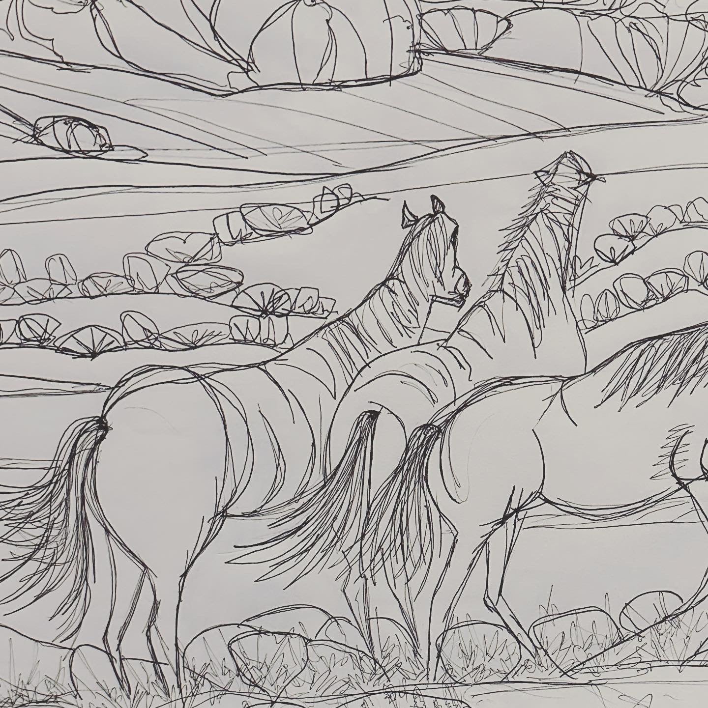 Wild Horses | Prints