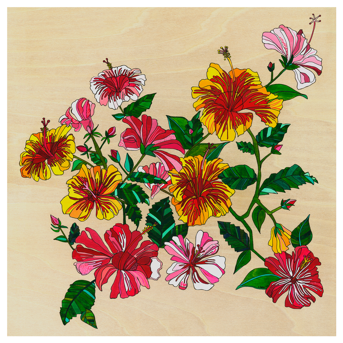 Hibiscus Flowers | Prints