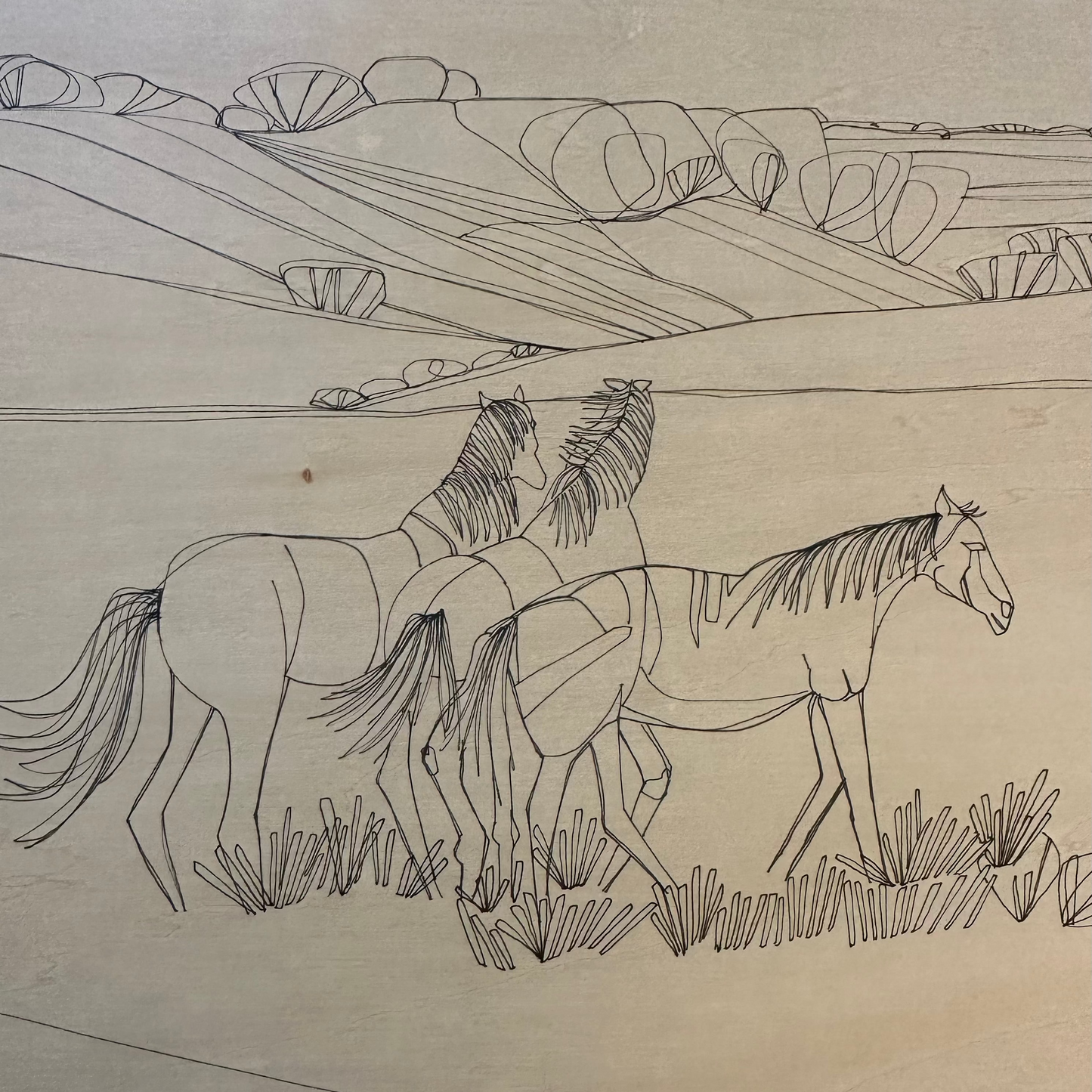 Wild Horses | Prints