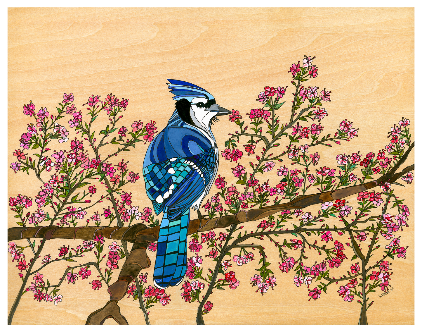 Cherry Blossoms Blue Jay Bird Home Decor Print by Katherine Homes, watercolor, reproduction, giclee, fine art paper