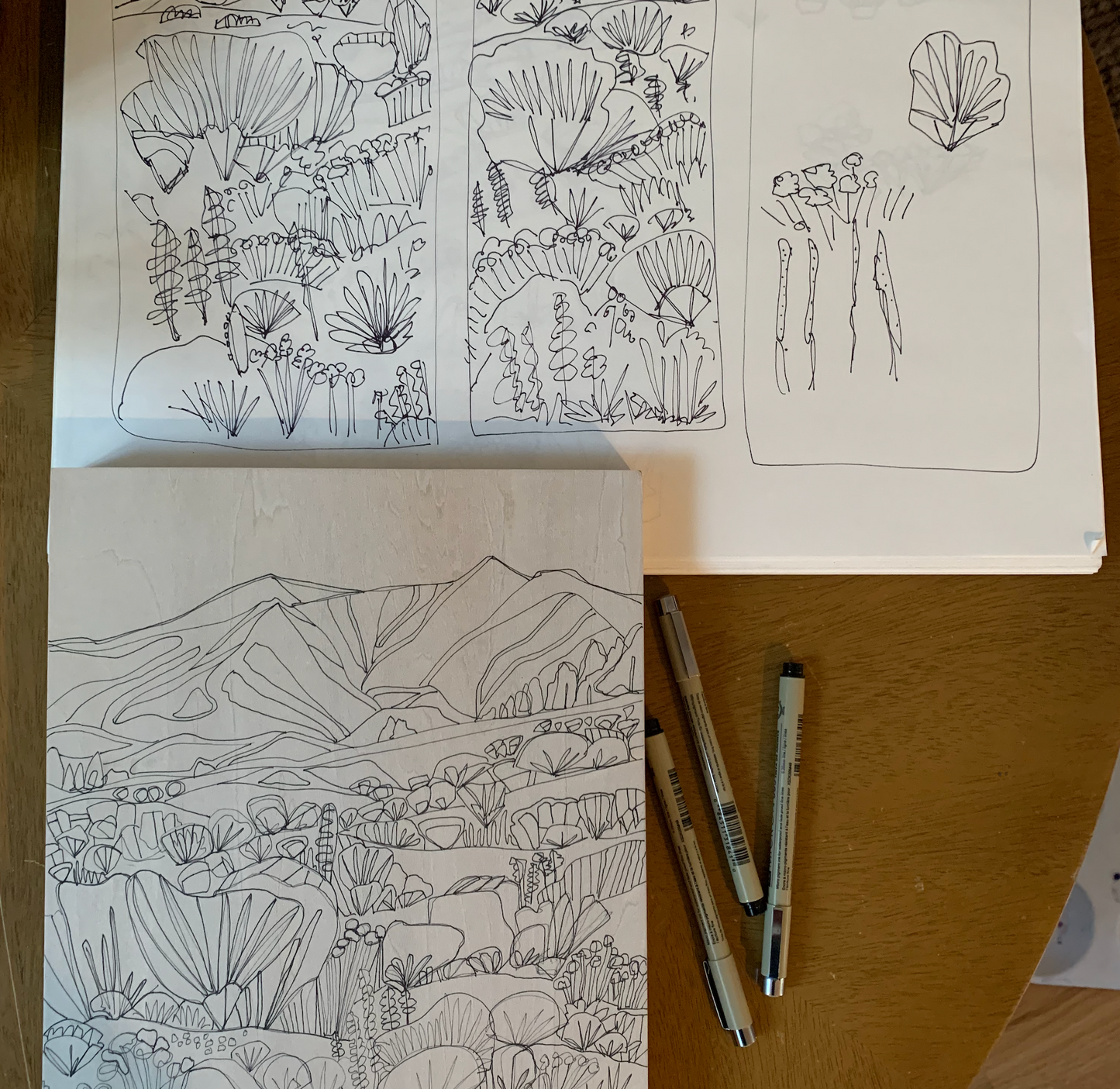 Sagebrush and Wildflowers | Prints