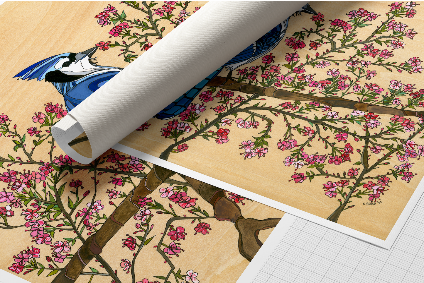 Blue Jay and Cherry Blossom | Prints