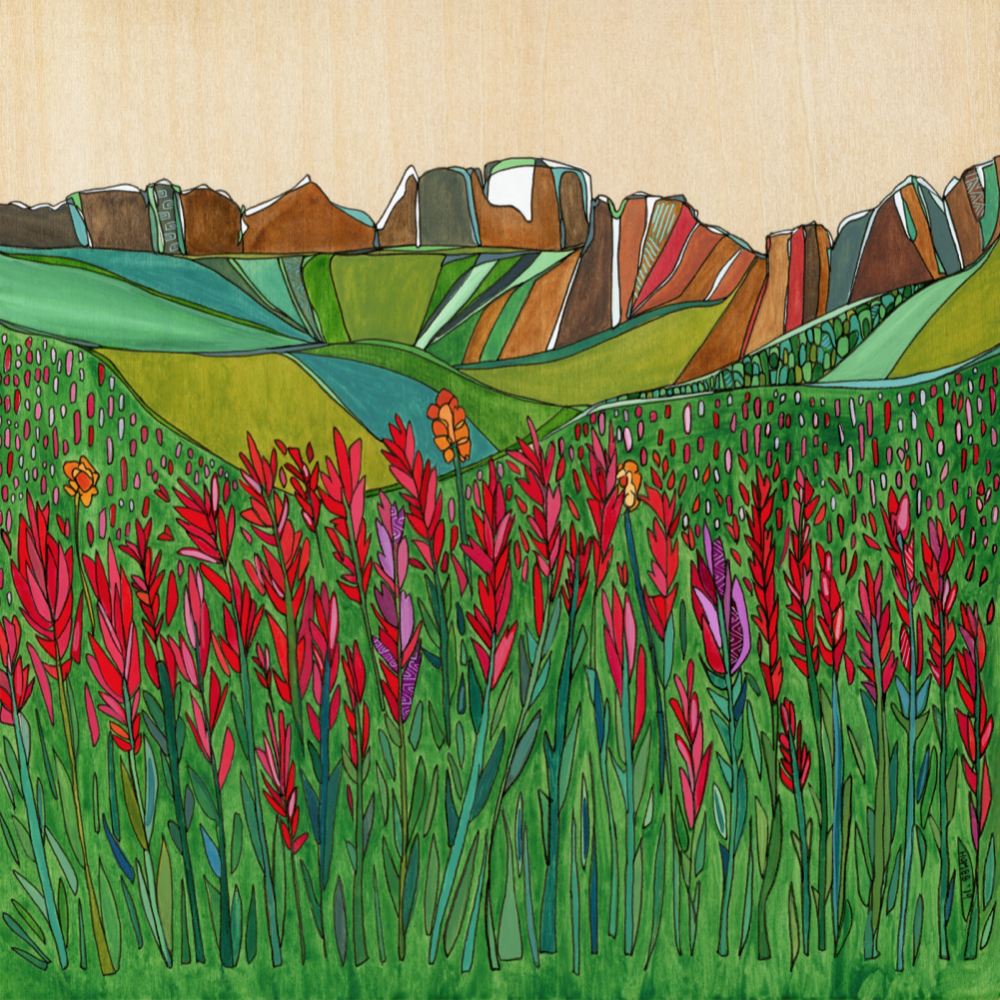Indian Paintbrush Original Watercolor Painting  by Katherine Homes, flowers, mountains, summer, wildflower field