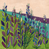 Lupines Print by Katherine Homes