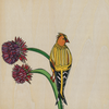 Goldfinch and Thistle Print by Katherine Homes 